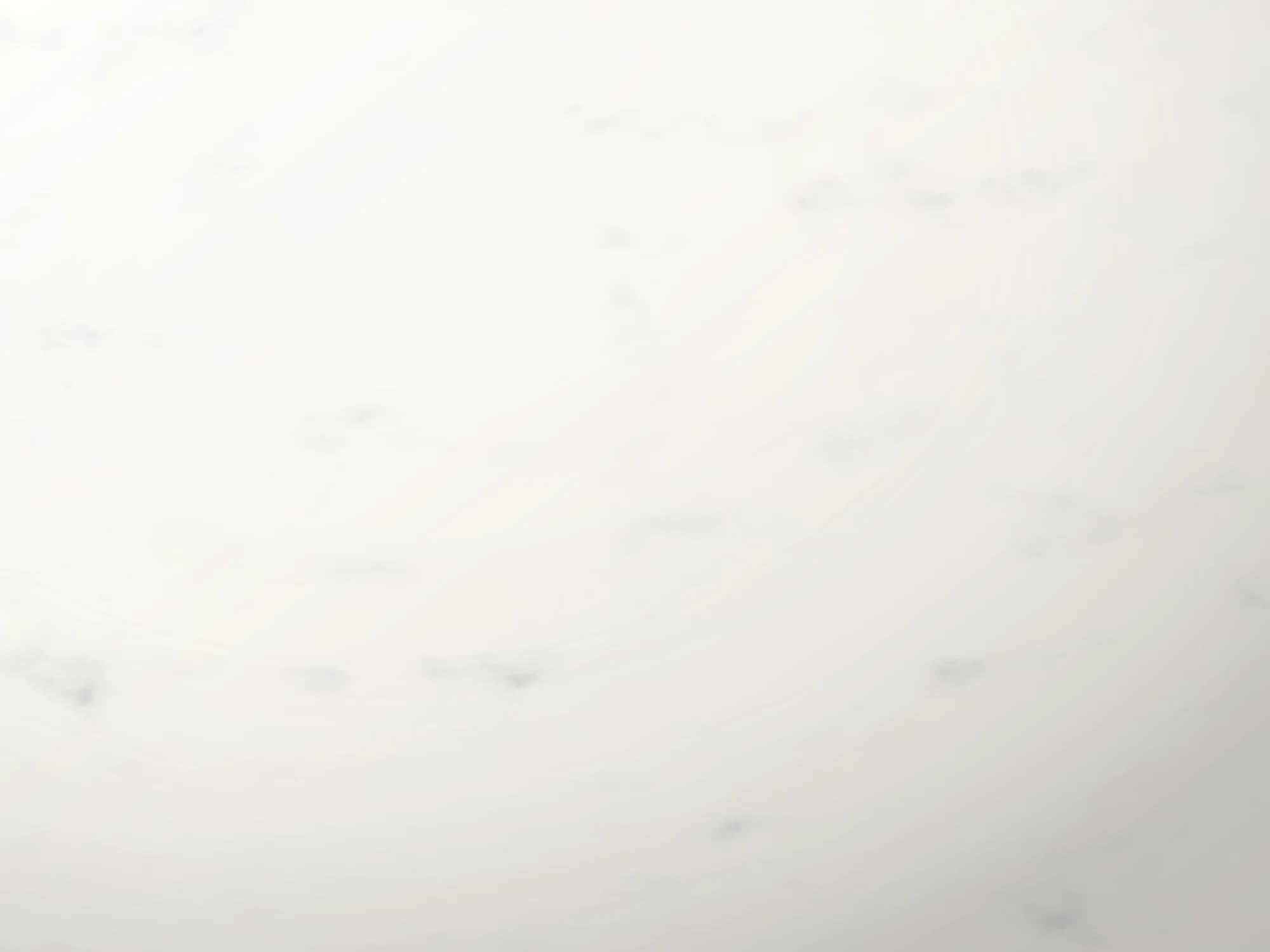 Carrara Marble wall panel