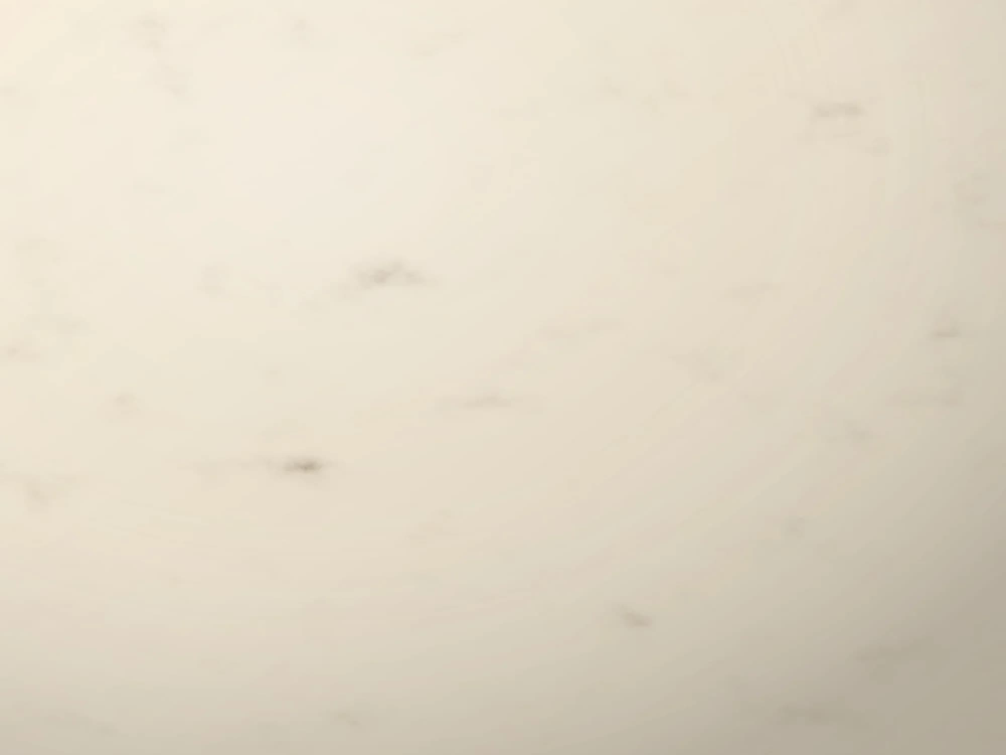Royal Beige Marble PVC panel — Glossy finish